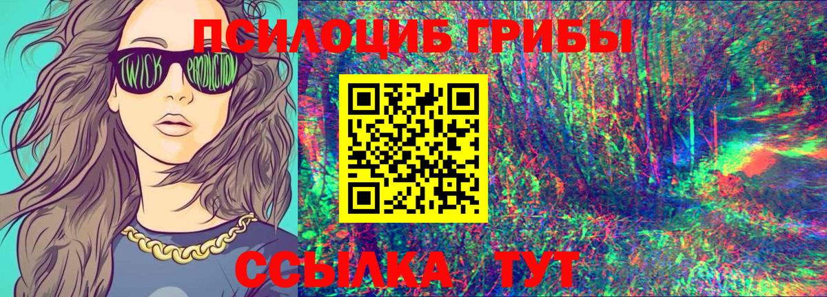 Феодосия  Галлюциногенные грибы Psilocybe  Вход с VPN 